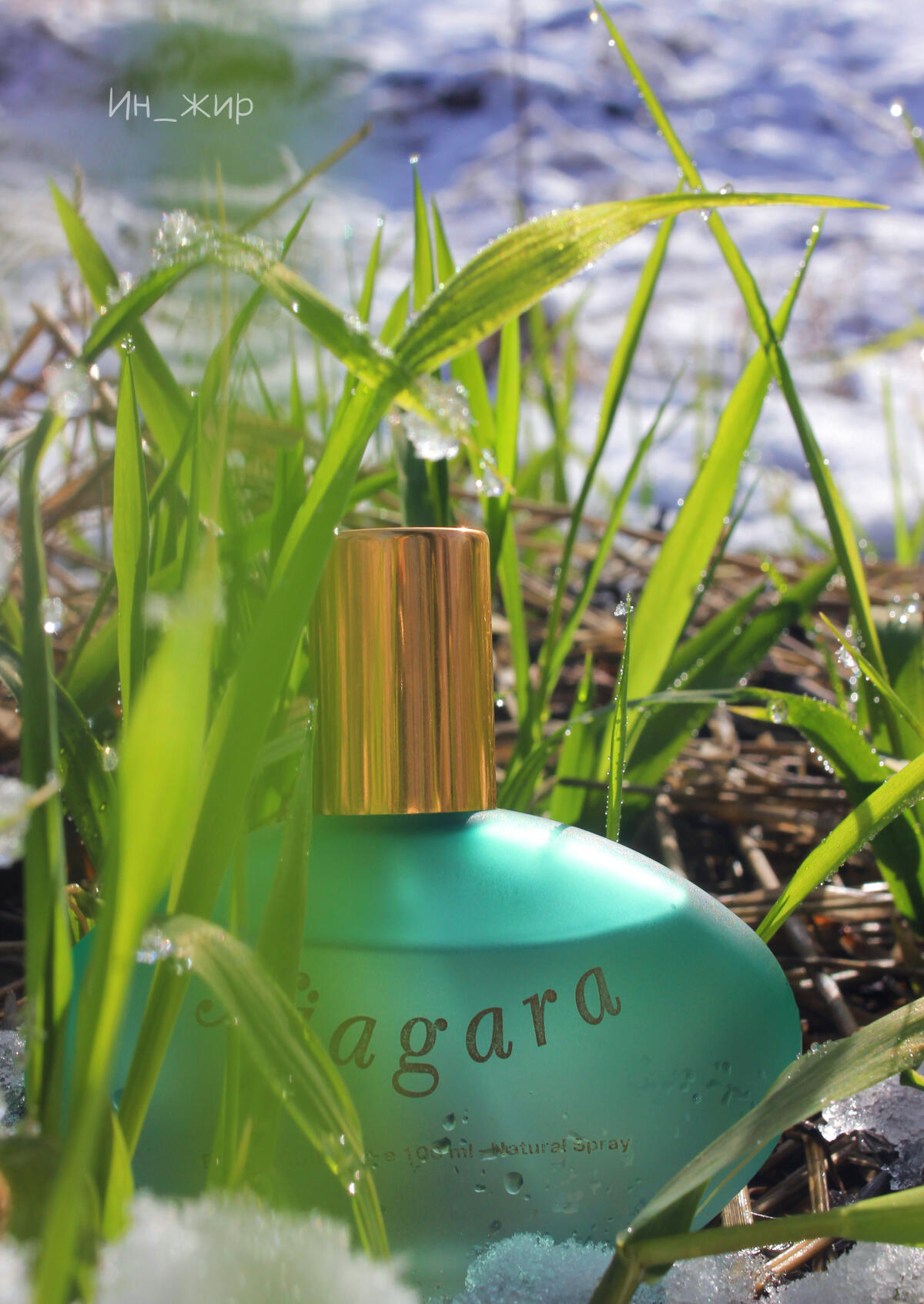 تصویر عطر نیاگارا پرفیومز جنتی