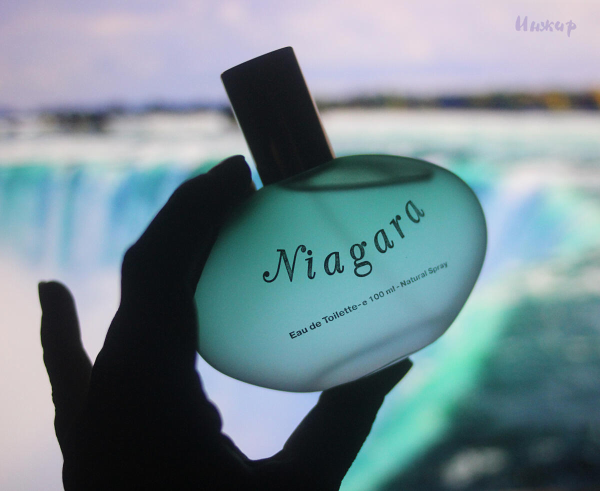 تصویر عطر نیاگارا پرفیومز جنتی