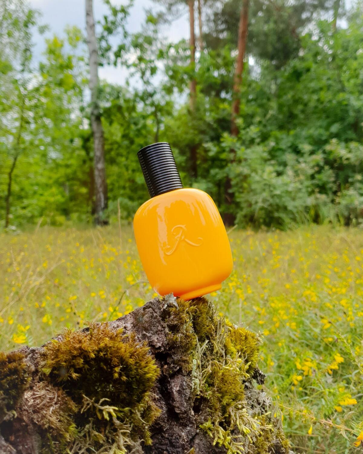 تصویر عطر وانیل پارادوکس له پرفوم دو روزین