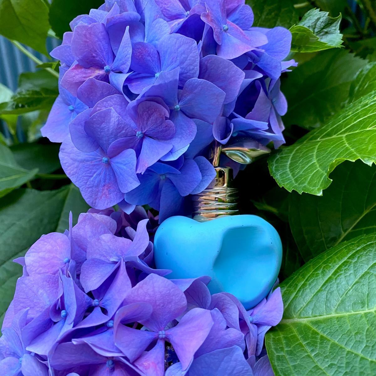 تصویر عطر له سوربه د لونا نینا ریچی