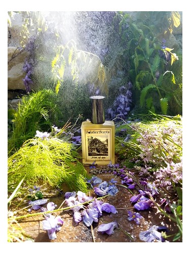 تصویر عطر افتر دِ رِین سالستیس سنتس