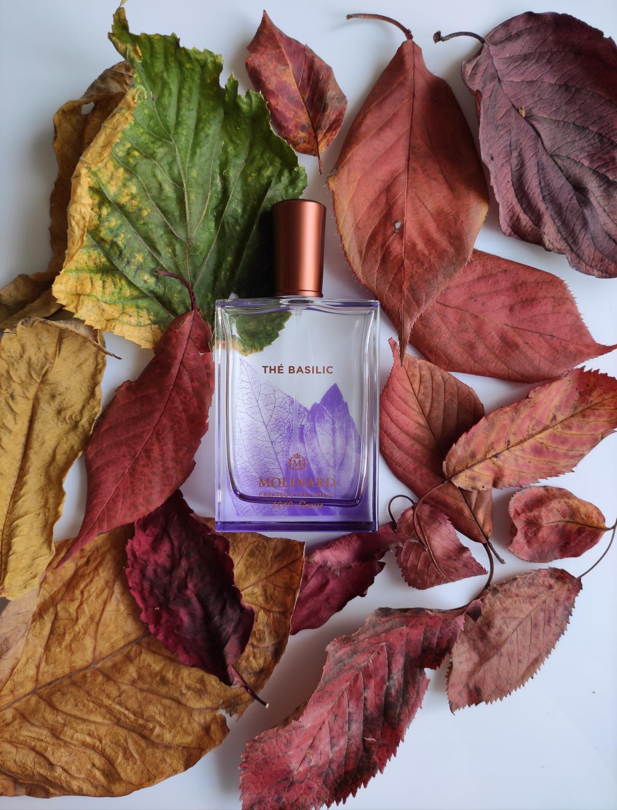 تصویر عطر ته بزیلیک مولینار