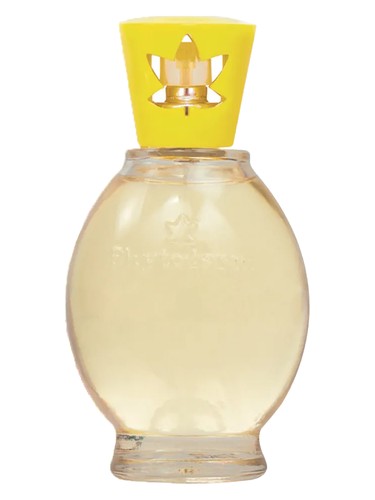 تصویر عطر ادورادا فیتودرم