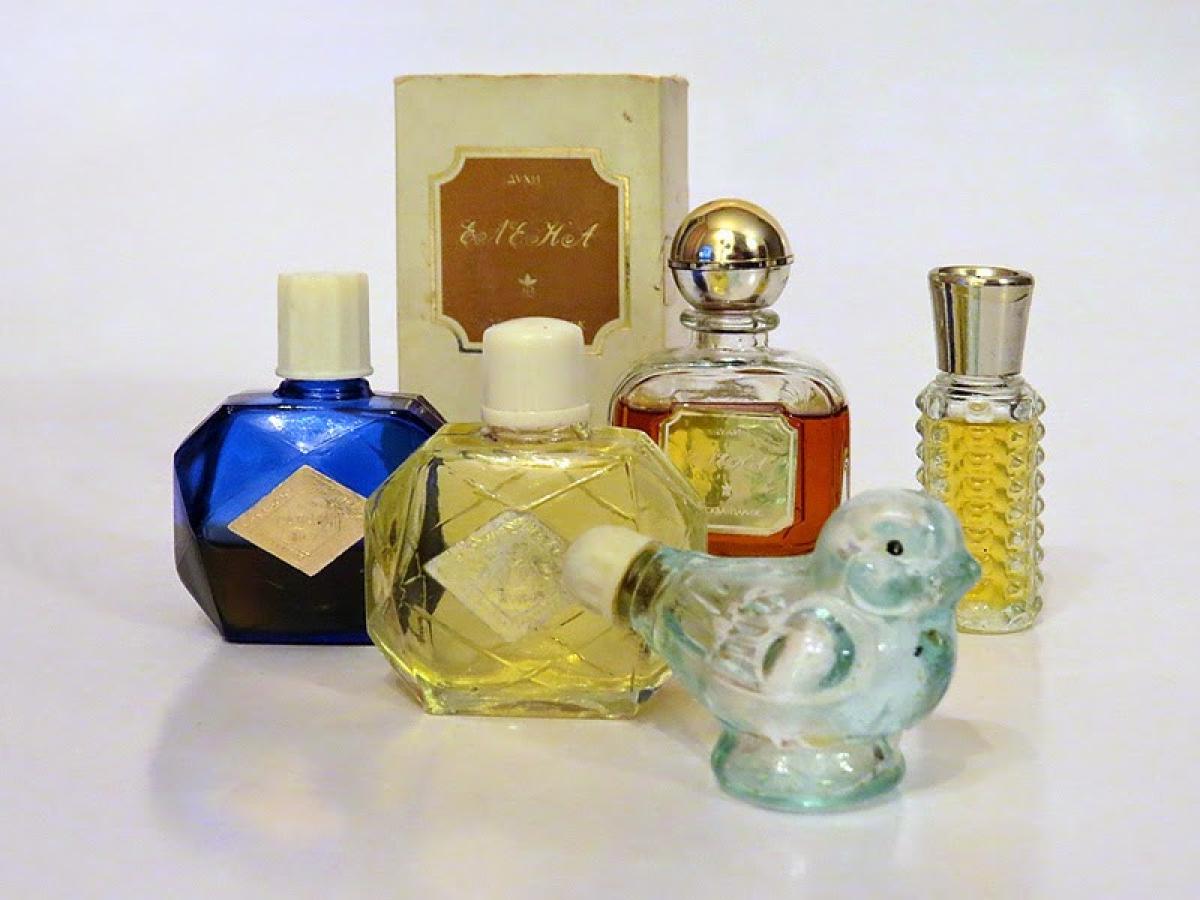تصویر عطر النا نوایا زاریا (طلوع نو)