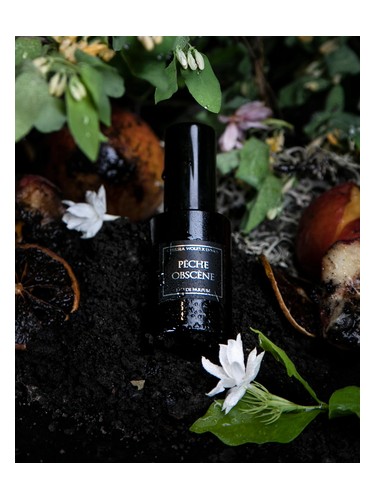 تصویر عطر پش آبسنس لونی