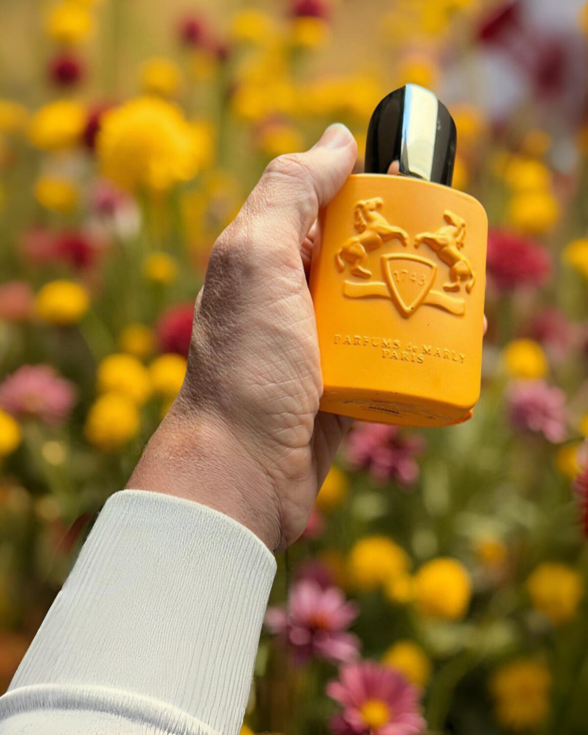 تصویر عطر پرسئوس پرفیومز دو مارلی
