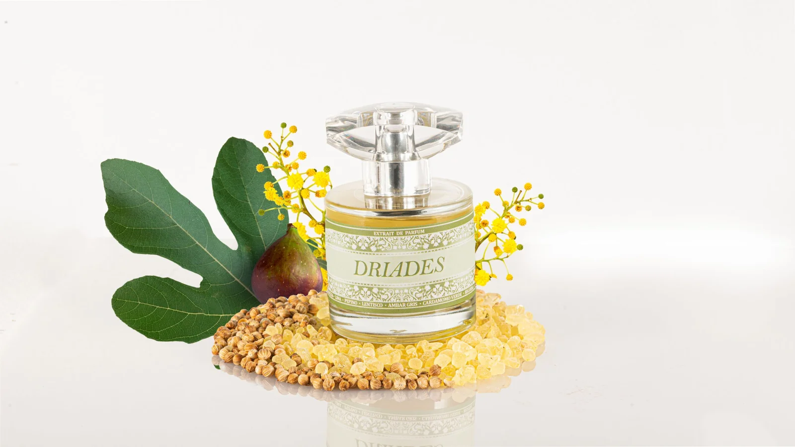 تصویر عطر دریادس میس پاو