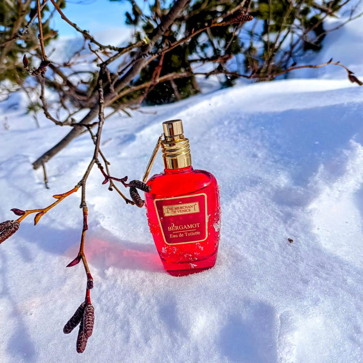 تصویر عطر برگاموت مرچنت آو ونیز