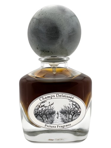 تصویر عطر شم دلسه پیکتورا فراگرانس