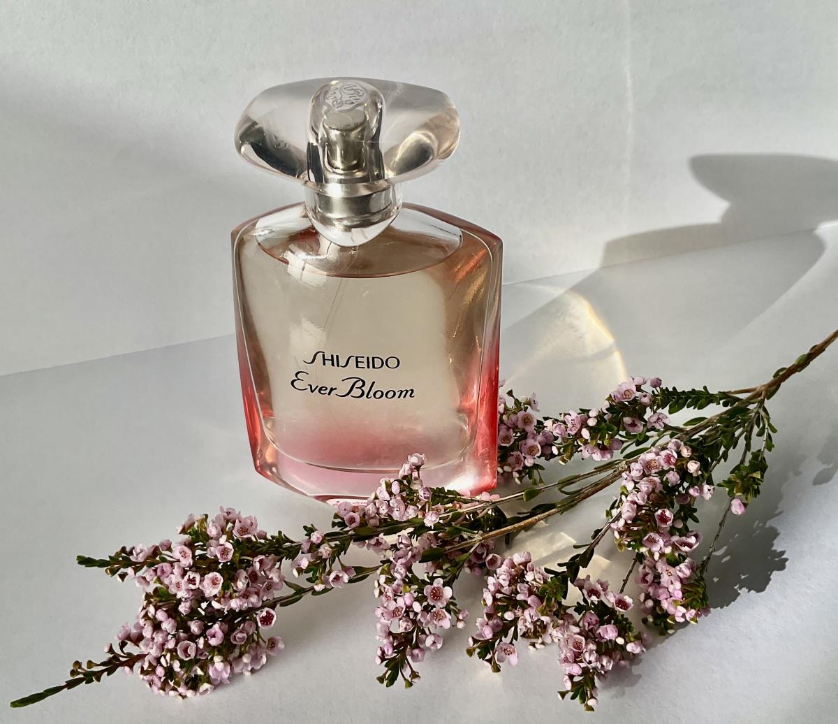 تصویر عطر اِوِر بلوم شیسیدو