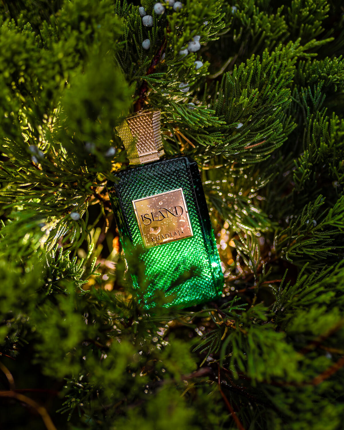 تصویر عطر آیلند عطرهای خدلج