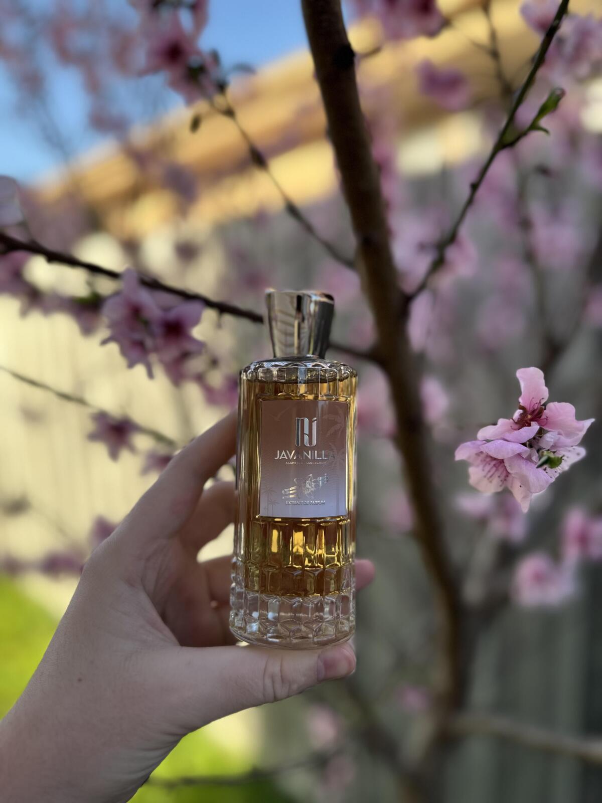 تصویر عطر جاوانیلا نیل ژاکه