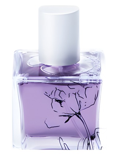 تصویر عطر سندز آو مراکو انفوزیون ارگانیک