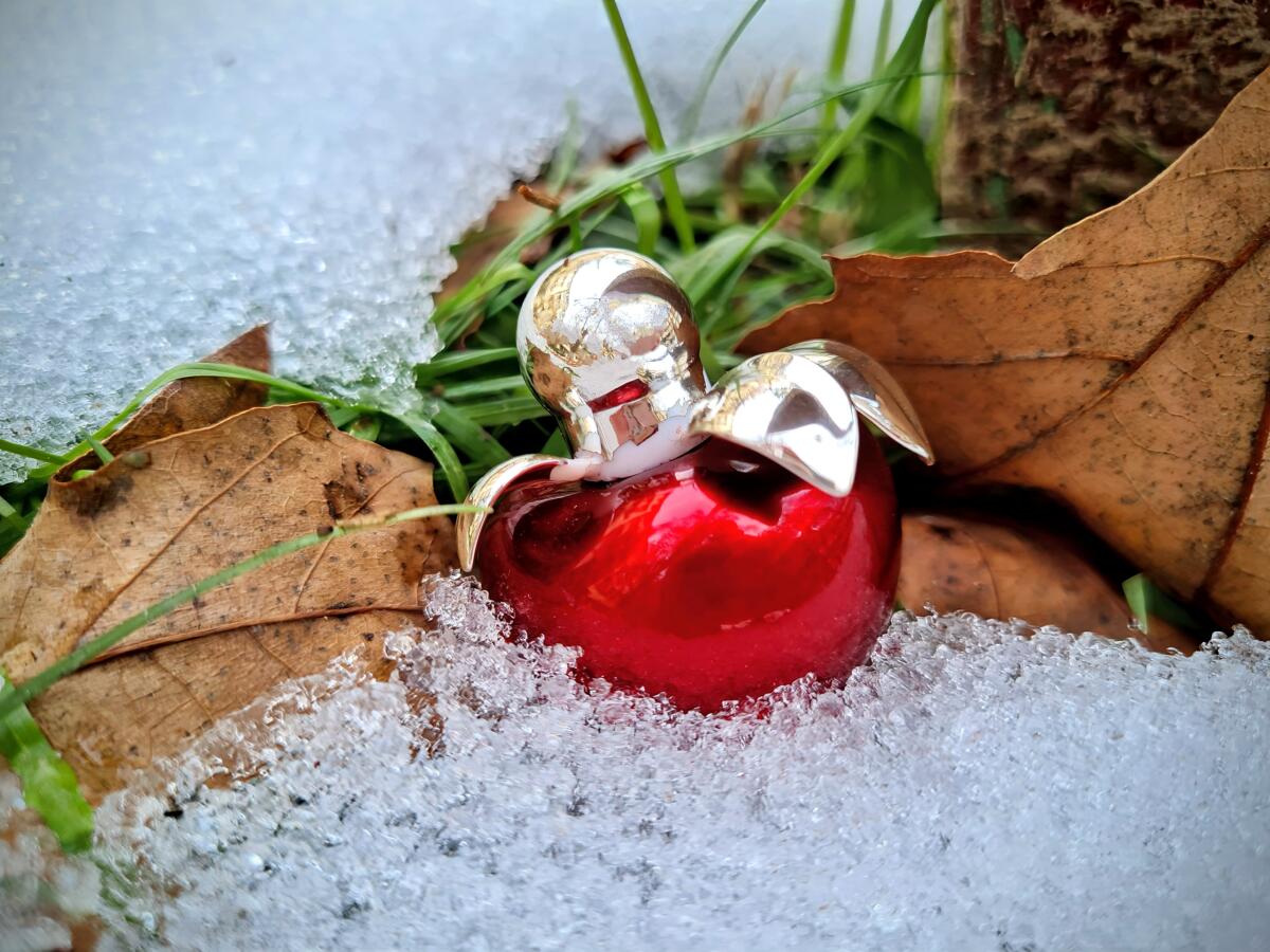 تصویر عطر نینا ل الیکسیر نینا ریچی