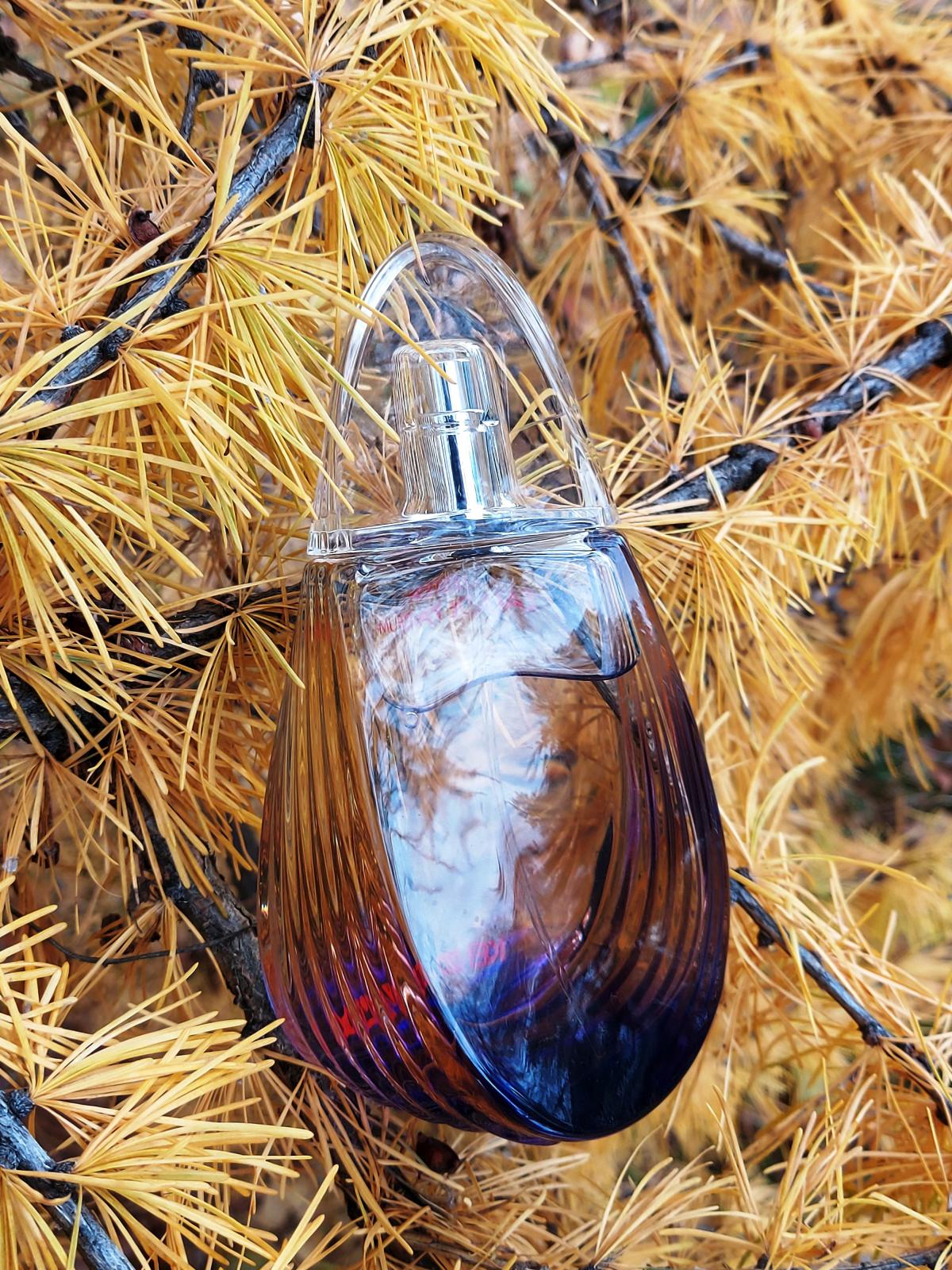 تصویر عطر مدلی کنزو