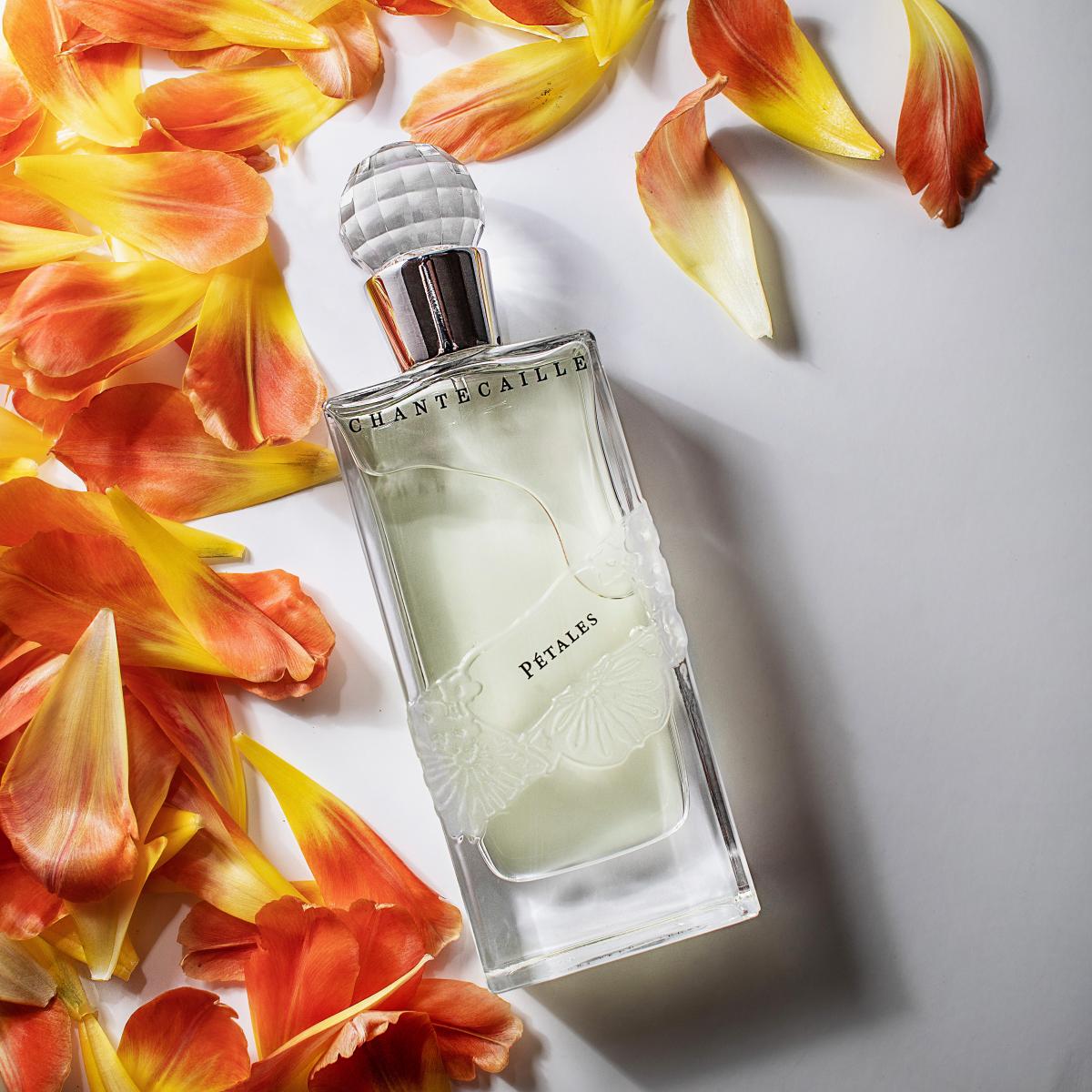 تصویر عطر پیتالز شانتکای