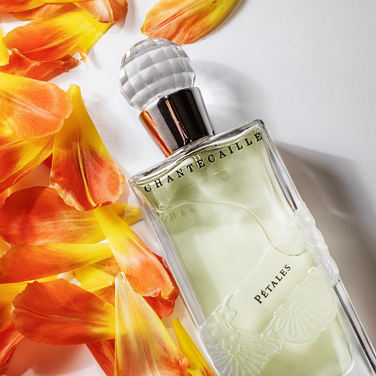 تصویر عطر پیتالز شانتکای