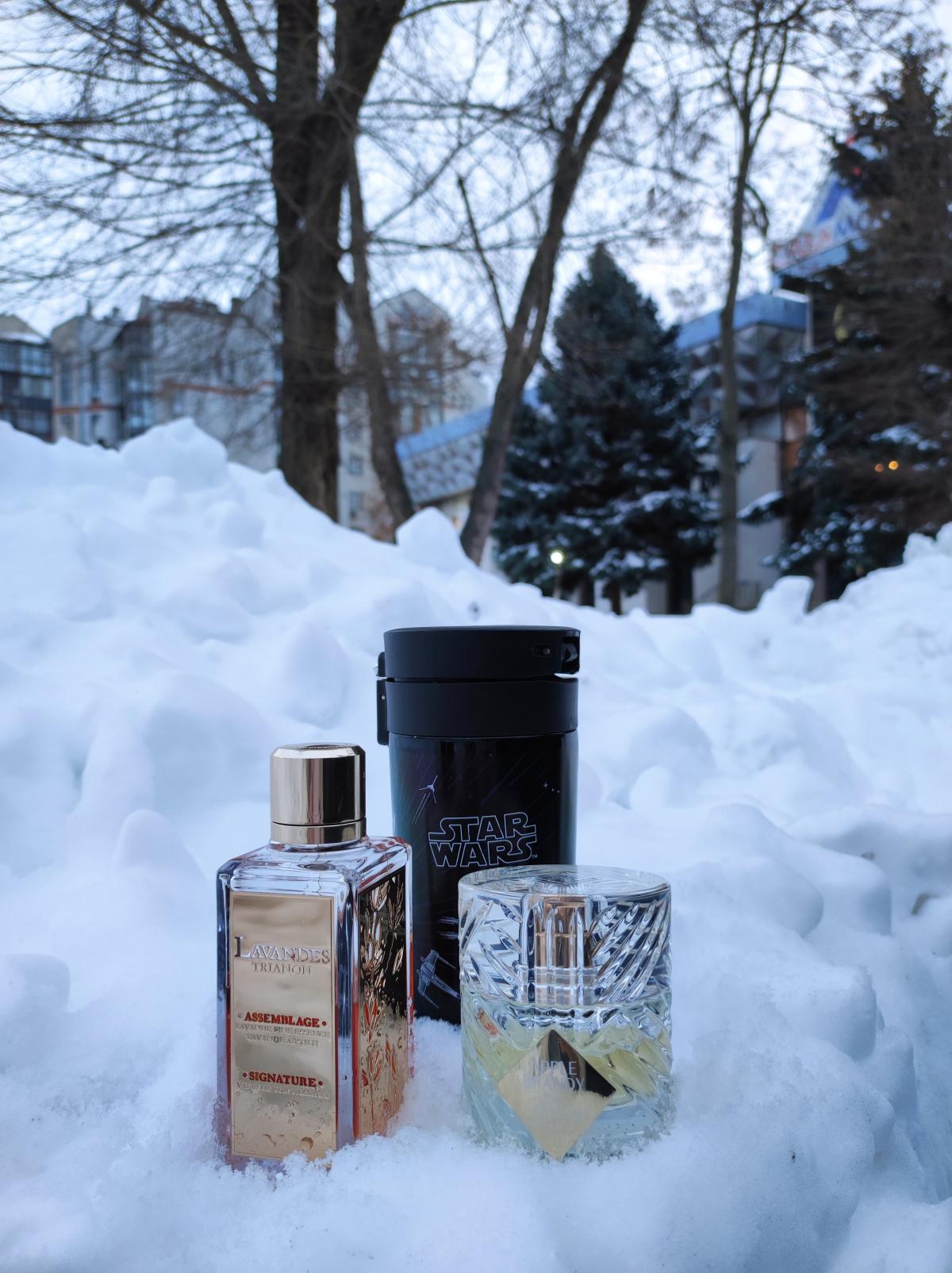 تصویر عطر لاوندس تریانن لانکوم