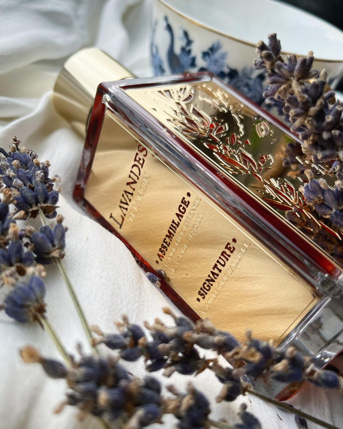 تصویر عطر لاوندس تریانن لانکوم
