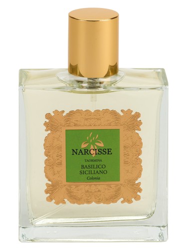 تصویر عطر ریحان سیسیلی نارسیس تاورمینا