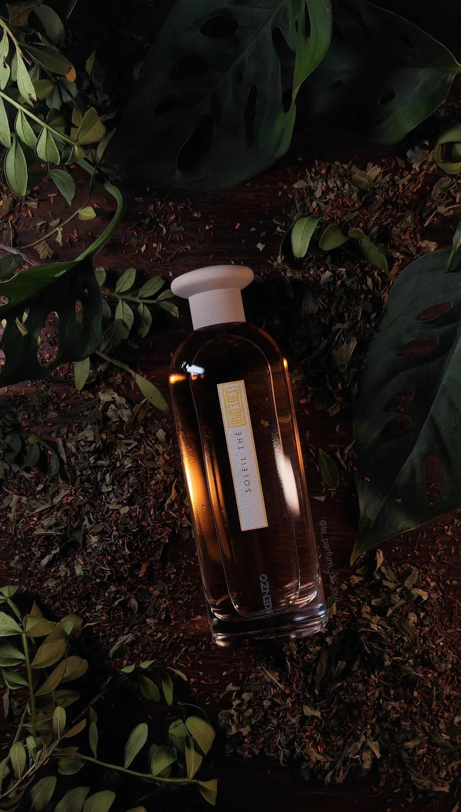 تصویر عطر سولِه تِه کنزو