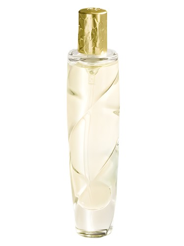 تصویر عطر الیکسیر دو موگه آیدی پرفیومز