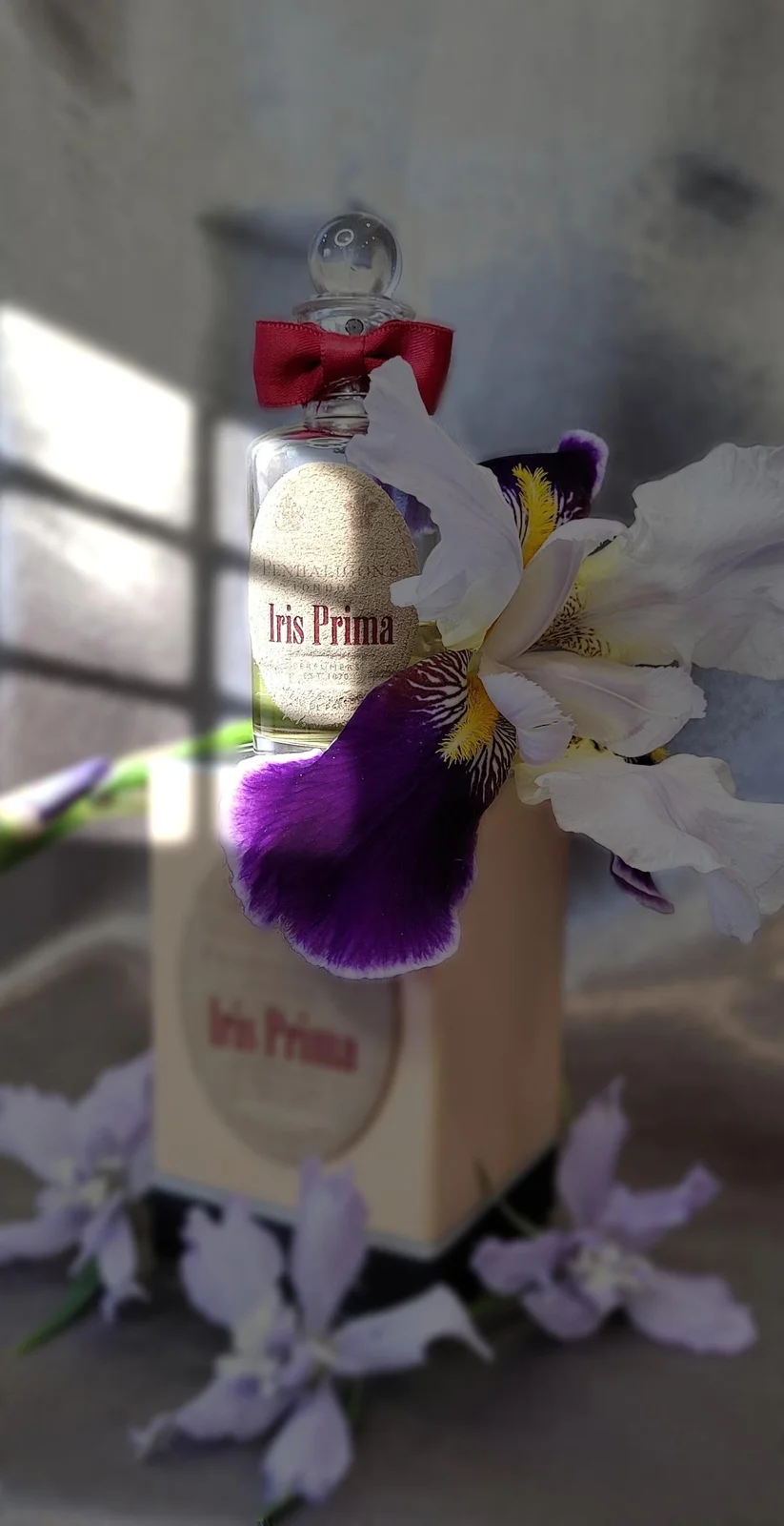 تصویر عطر آیریس پریما پنهالیگونز