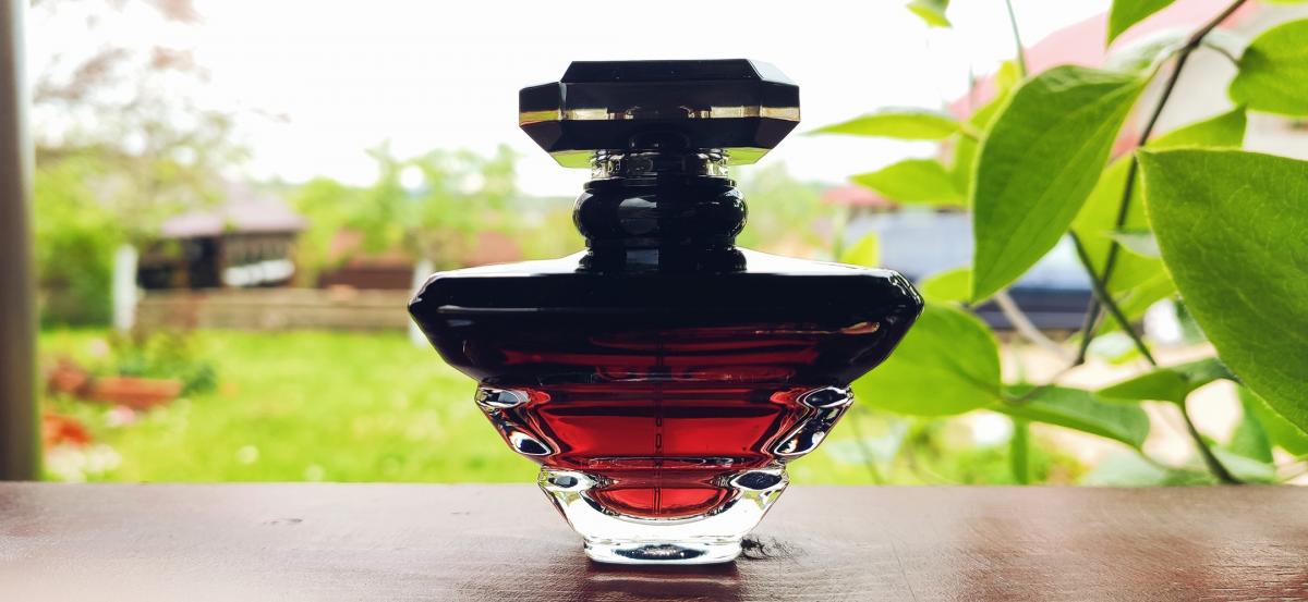 تصویر عطر ترزور لابسلو لانکوم
