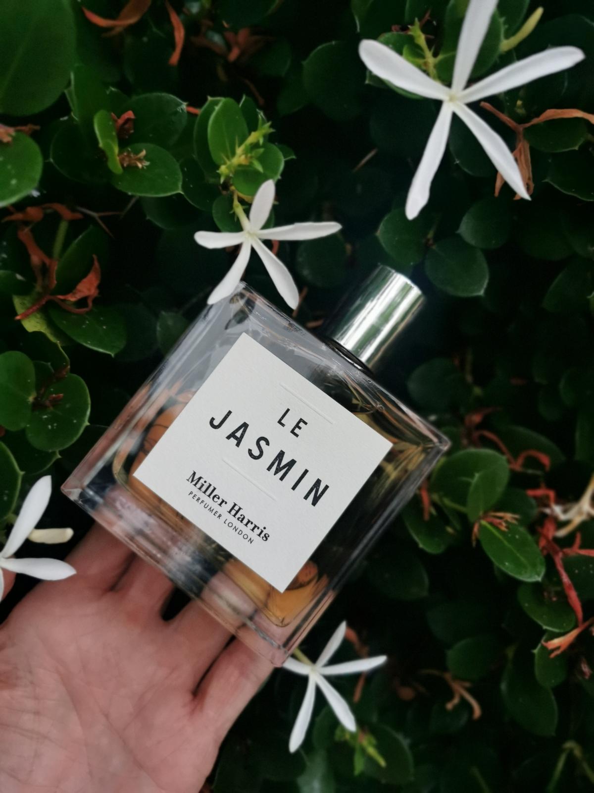 تصویر عطر له ژاسمین میلر هریس