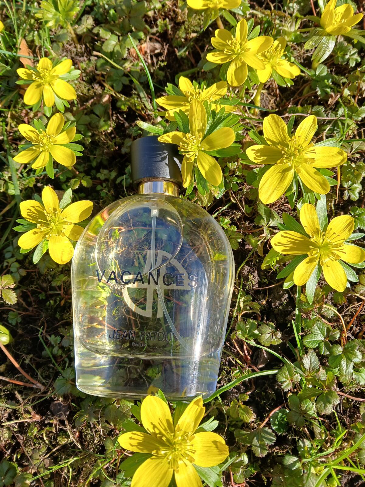 تصویر عطر کالکشن هریتیج وکانس ژان پاتو