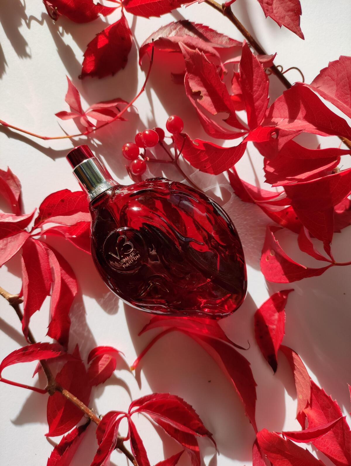 تصویر عطر رد هارت وی سه مپ آو دِ هارت