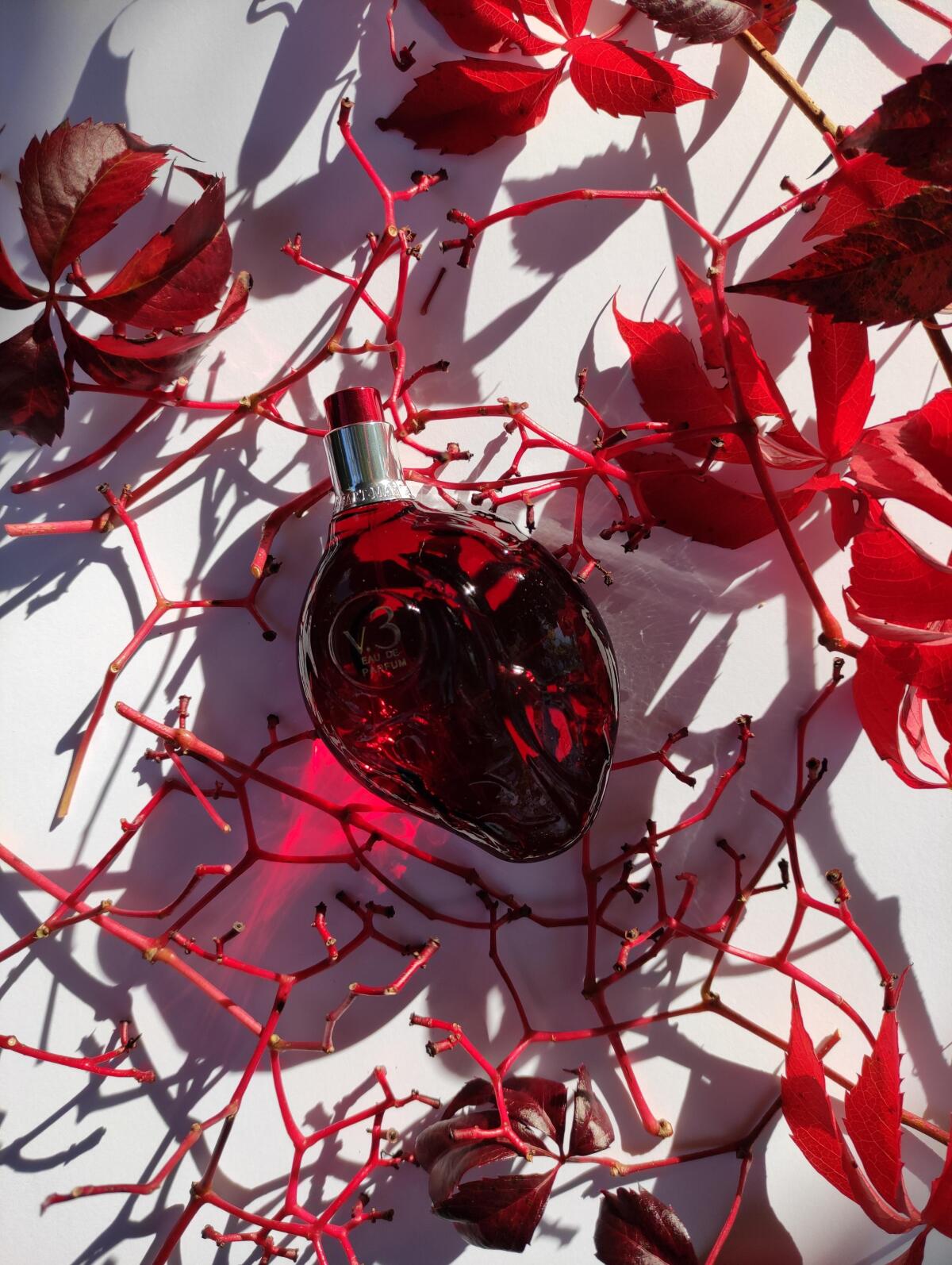 تصویر عطر رد هارت وی سه مپ آو دِ هارت