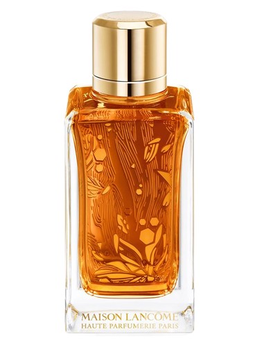 تصویر عطر اود آمبروزیا لانکوم