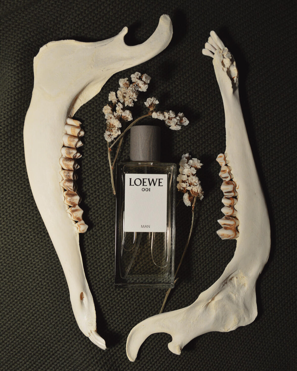 تصویر عطر لوی مَن لوئوه