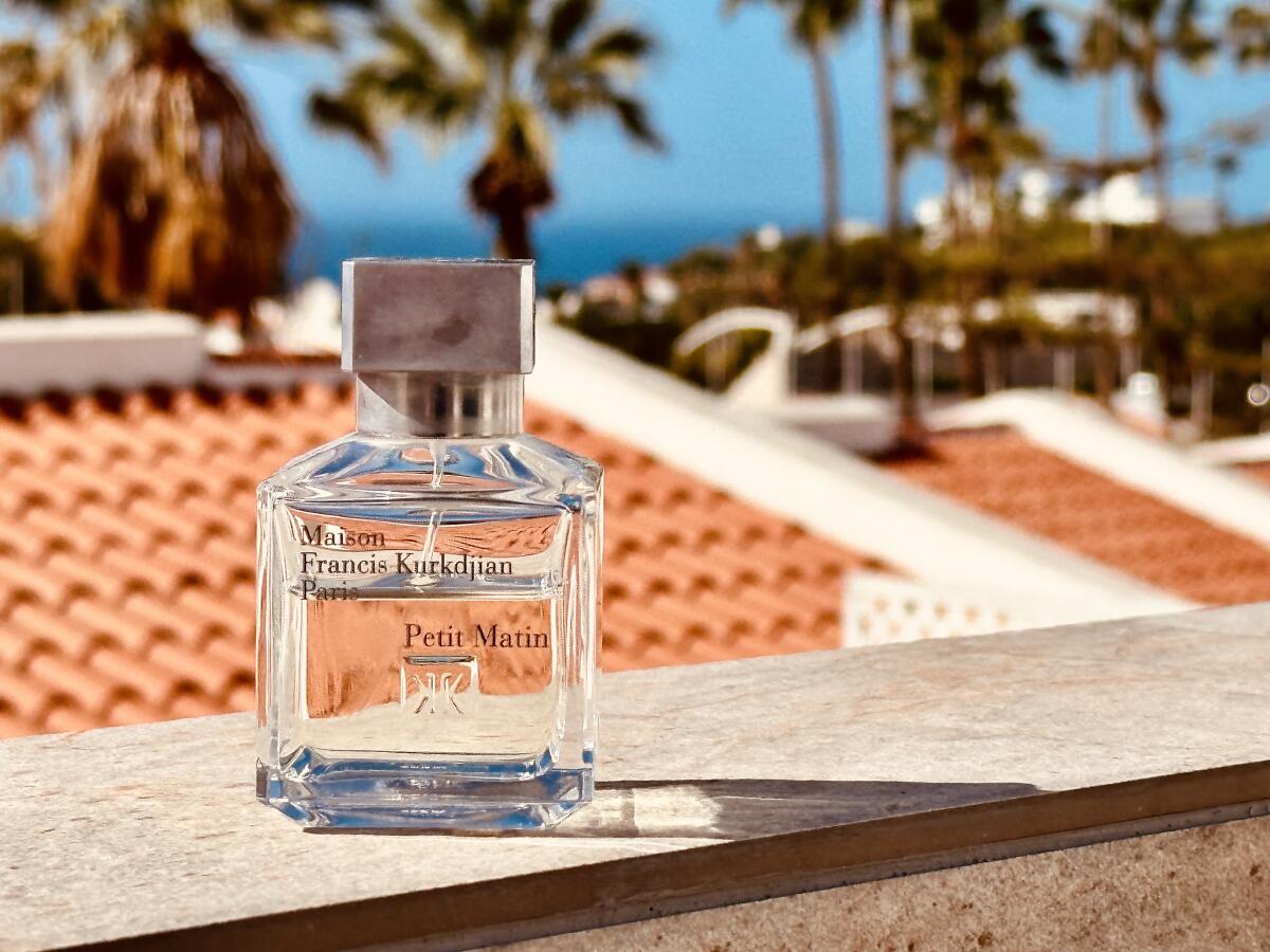 تصویر عطر پتی متن میسون فرانسیس کرکجان