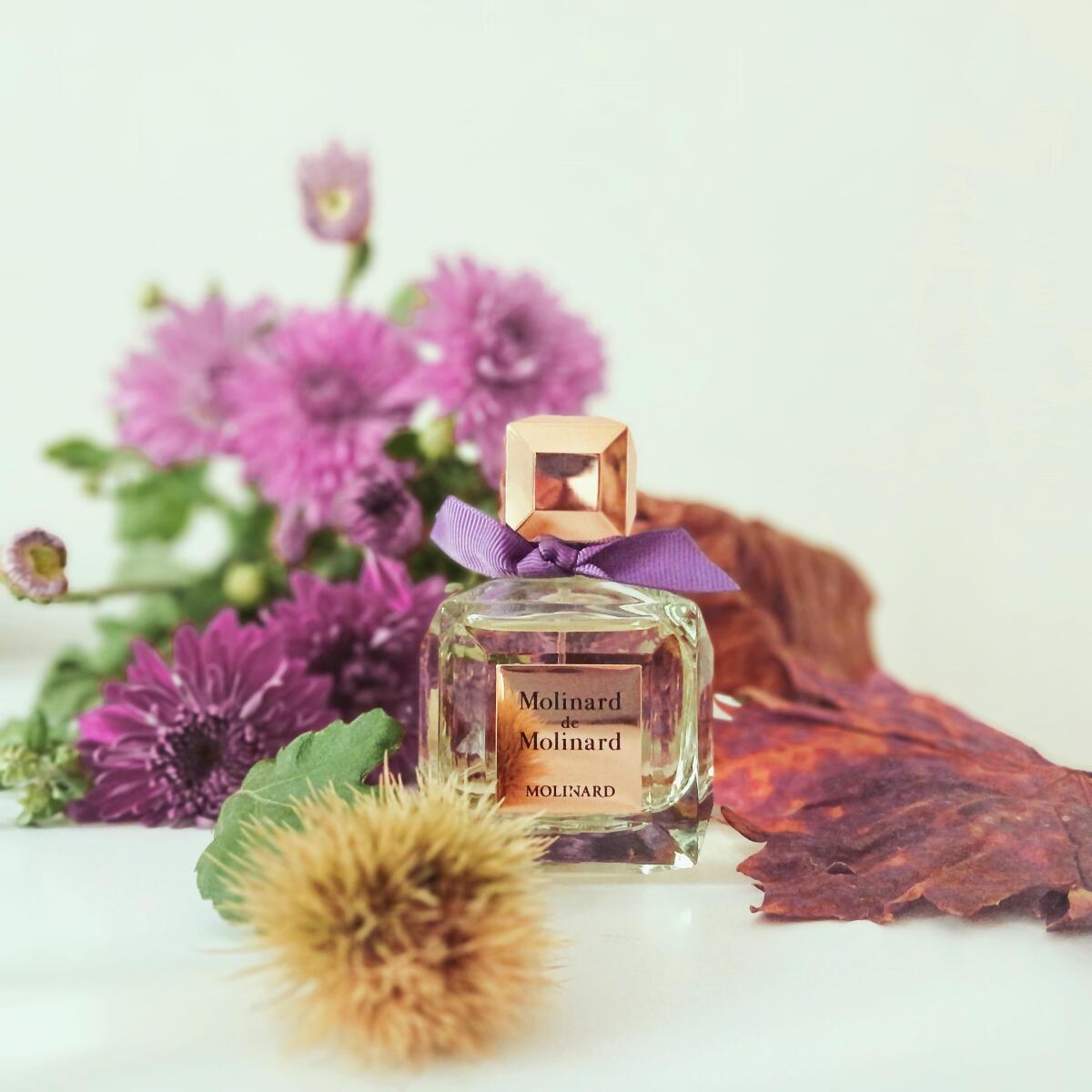 تصویر عطر مولینارد ده مولینارد
