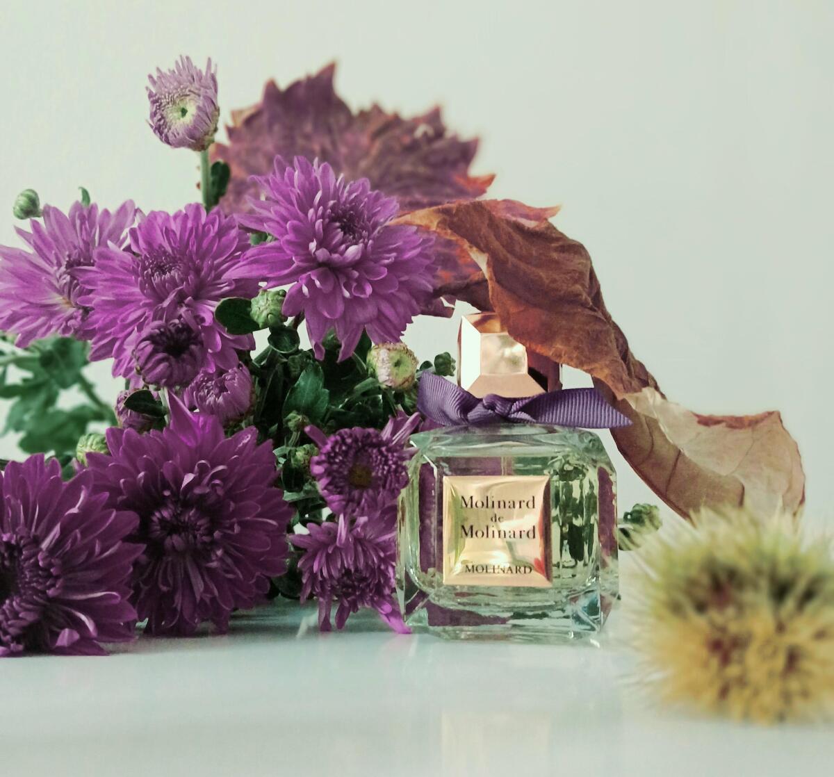 تصویر عطر مولینارد ده مولینارد