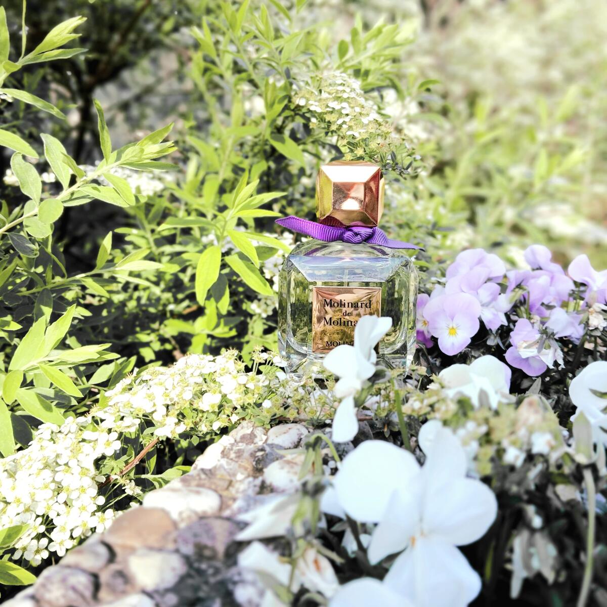 تصویر عطر مولینارد ده مولینارد
