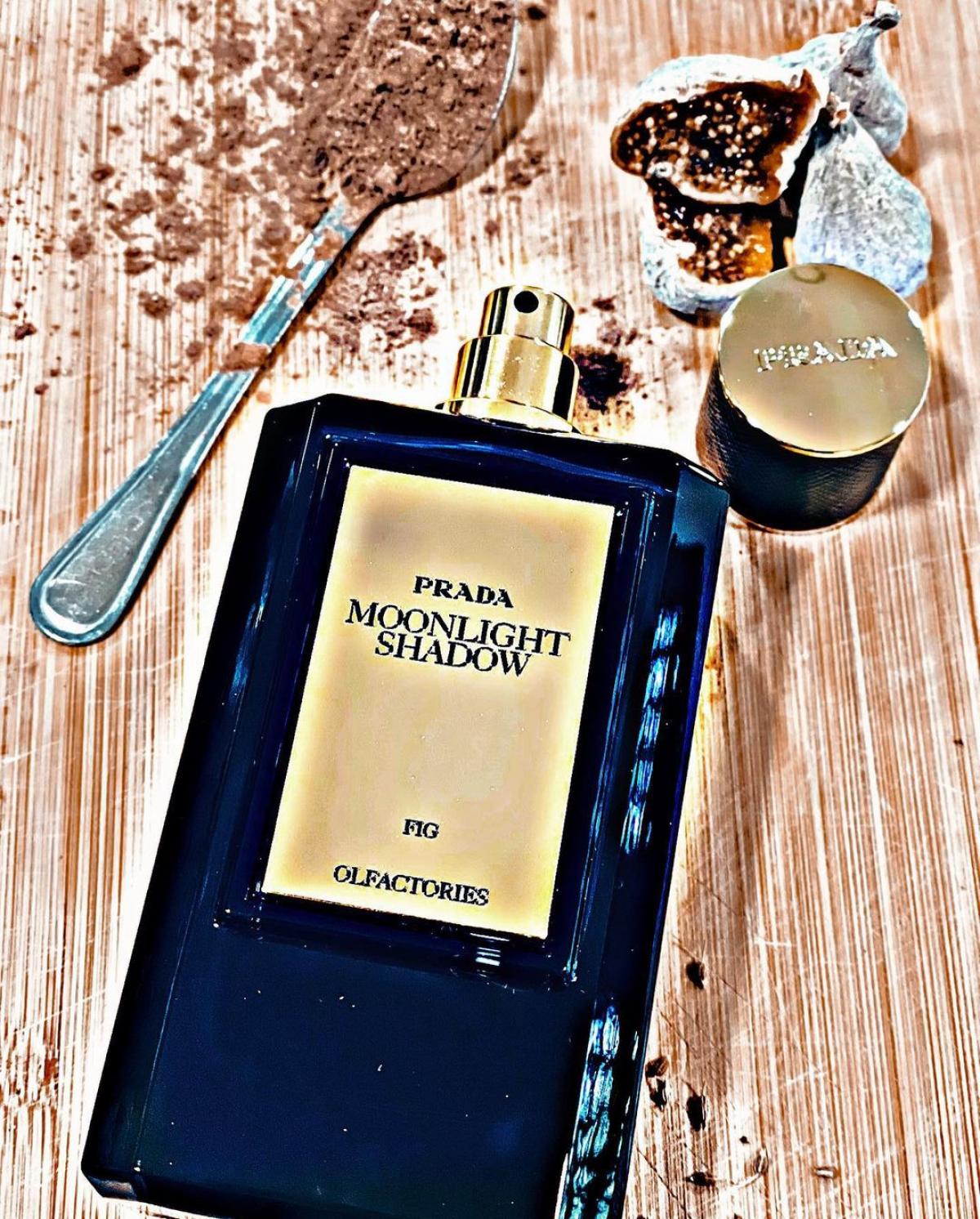 تصویر عطر مایراجز مون‌لایت شدو پرادا