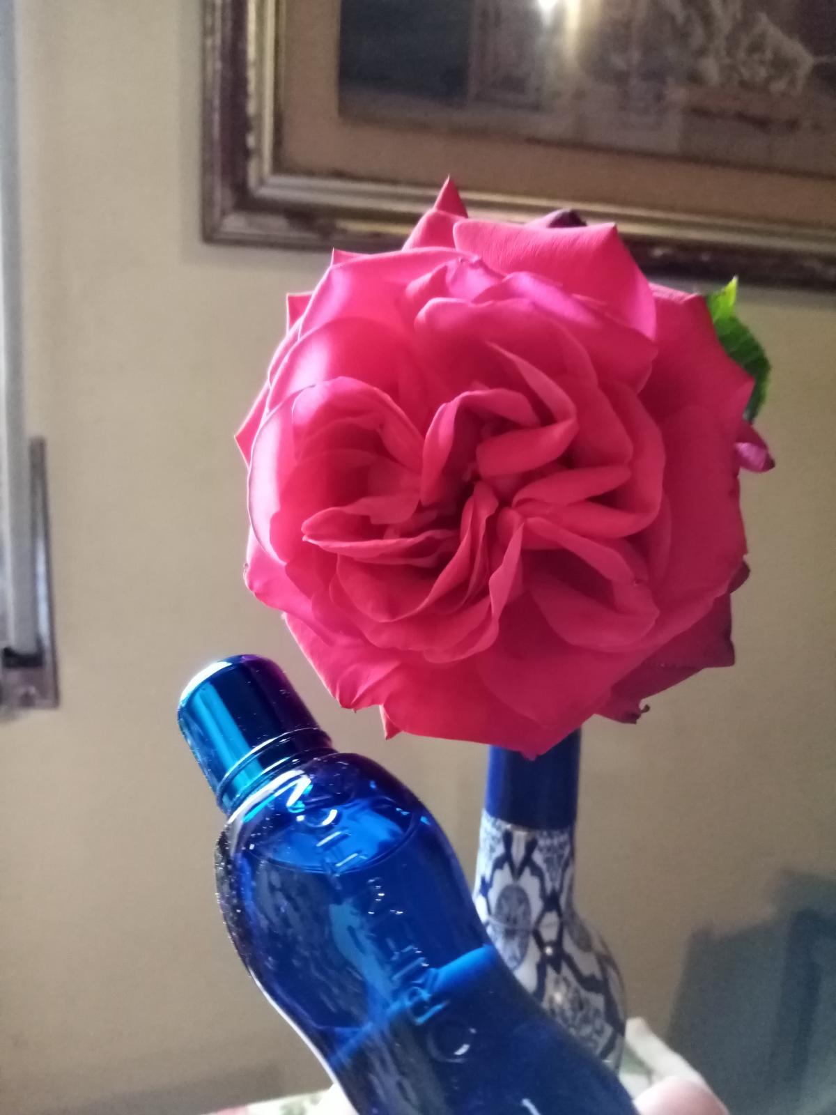 تصویر عطر بست اورینتیکا