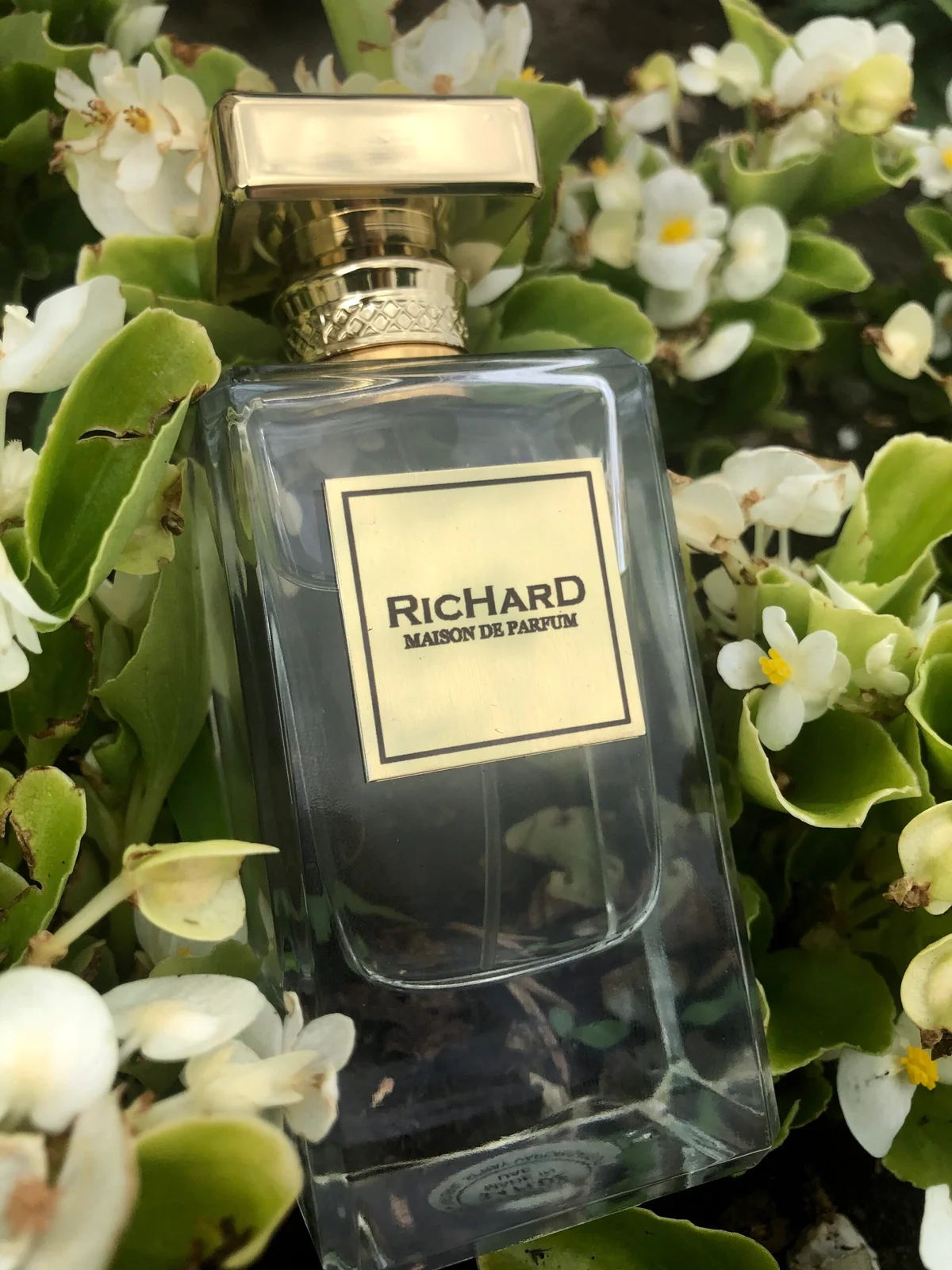 تصویر عطر ویمِن ریچارد