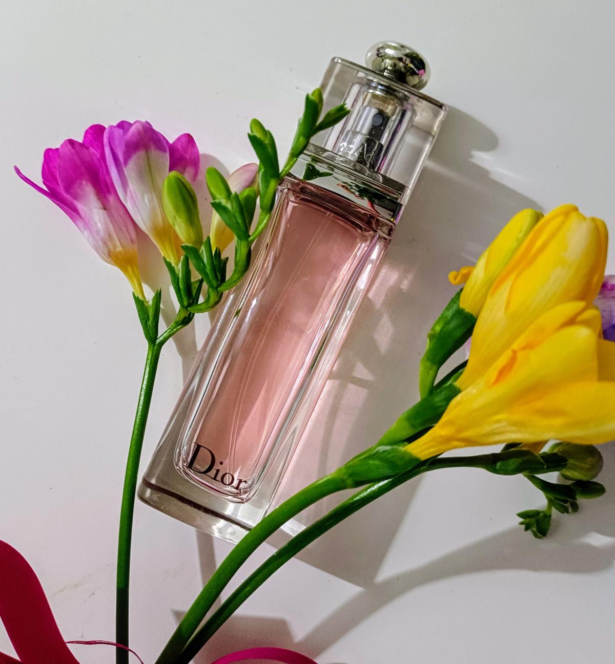 تصویر عطر دیور ادیکت او فرش ۲۰۱۴