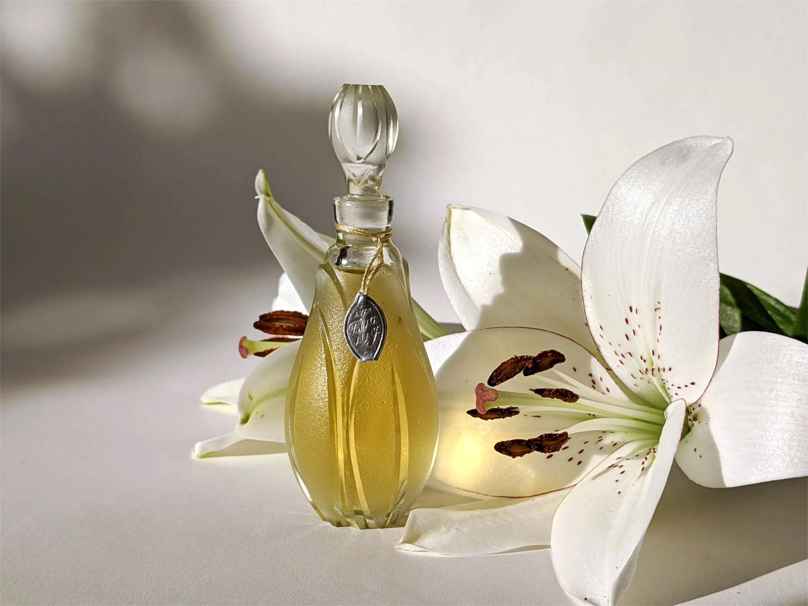تصویر عطر بـِلایا لـیلیا کارخانهٔ عطر لووف