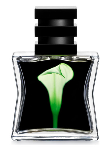 تصویر عطر نمبر بیست و دو اسجی ۷۹ استیاچالام