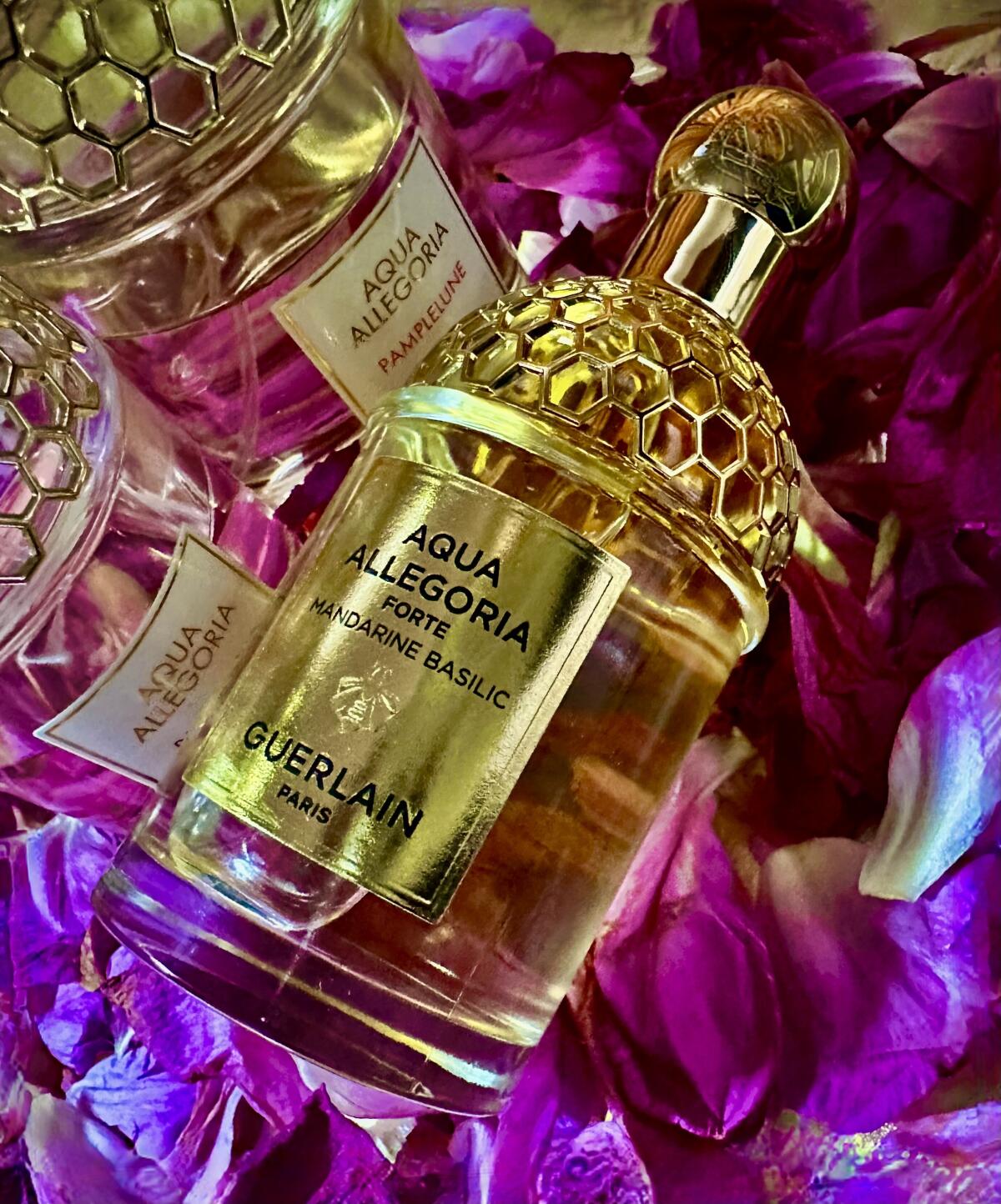 تصویر عطر آکوا الگریا پامپلون گرلن