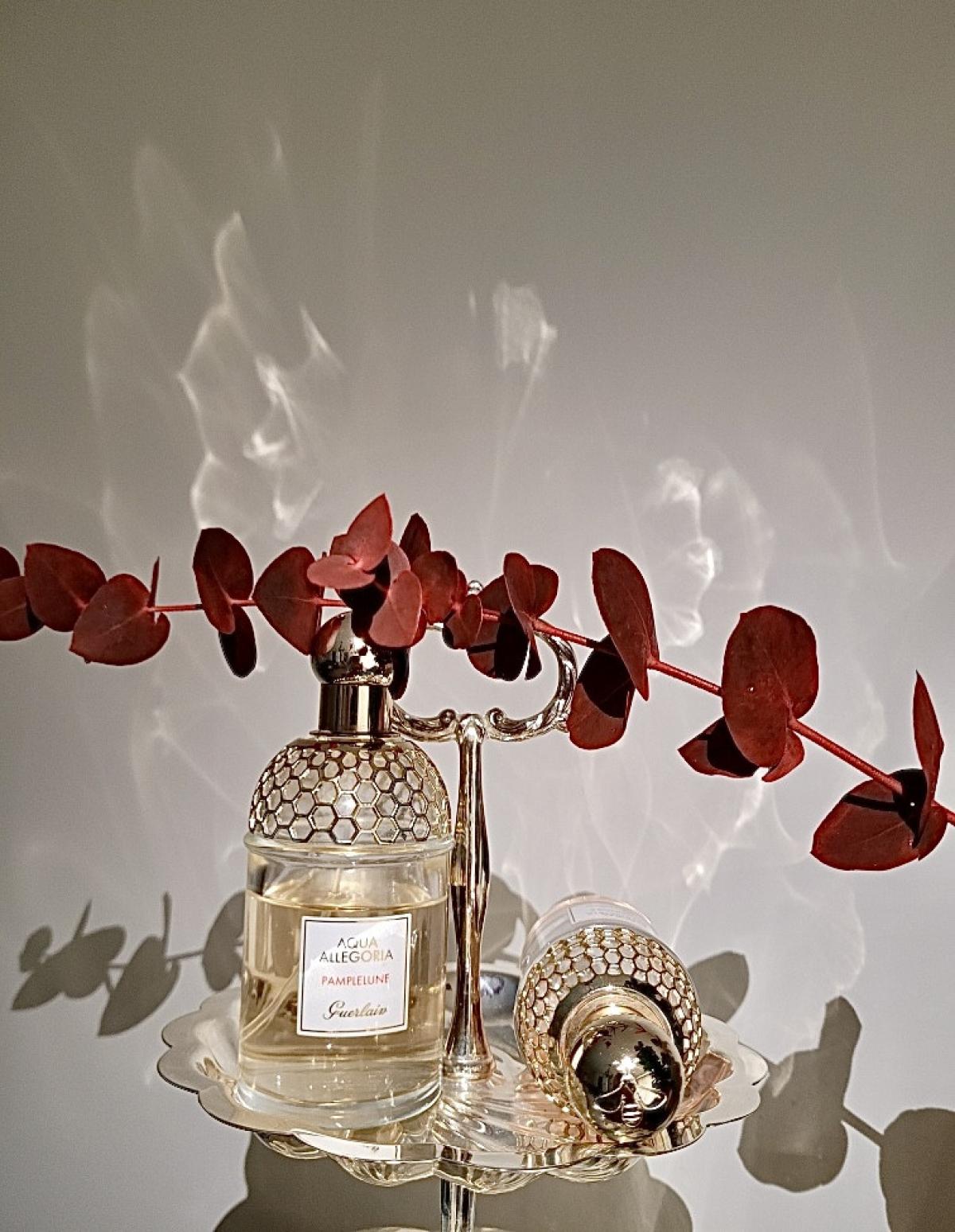 تصویر عطر آکوا الگریا پامپلون گرلن