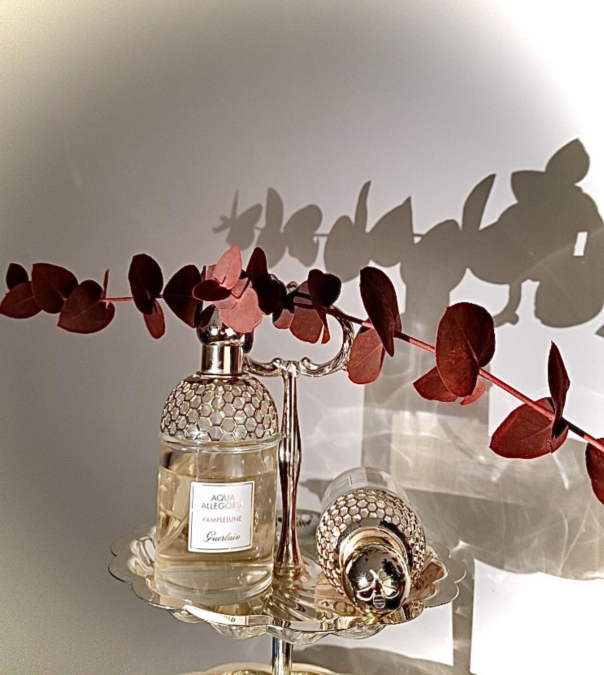 تصویر عطر آکوا الگریا پامپلون گرلن