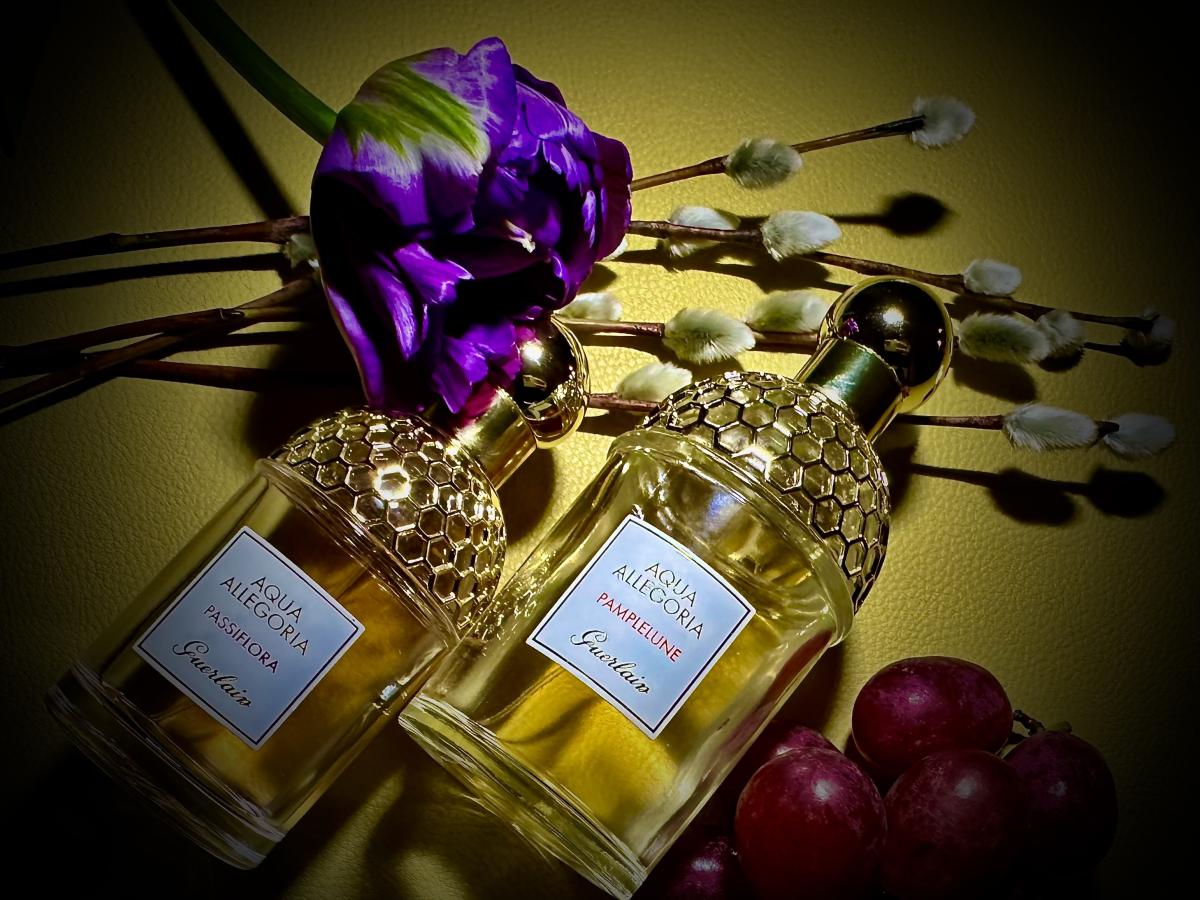 تصویر عطر آکوا الگریا پامپلون گرلن