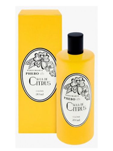 تصویر عطر آگوا د سیترس فبو