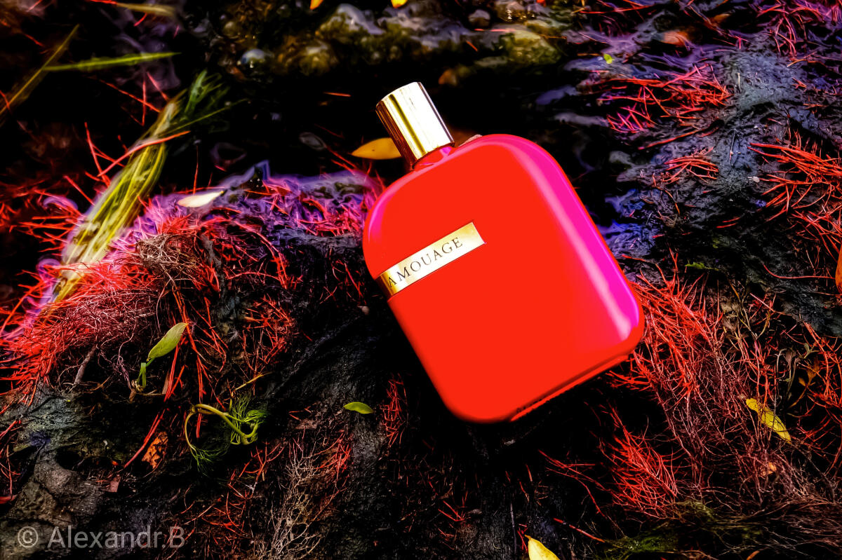 تصویر عطر د لایبرری کالکشن اپوس نُه آمواژ